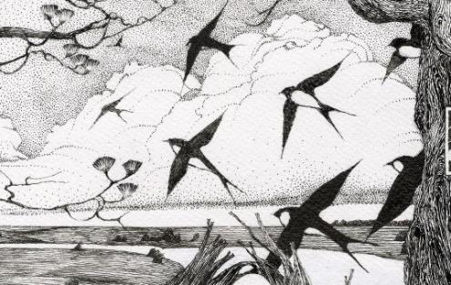 Просмотр* - студенческая выставка