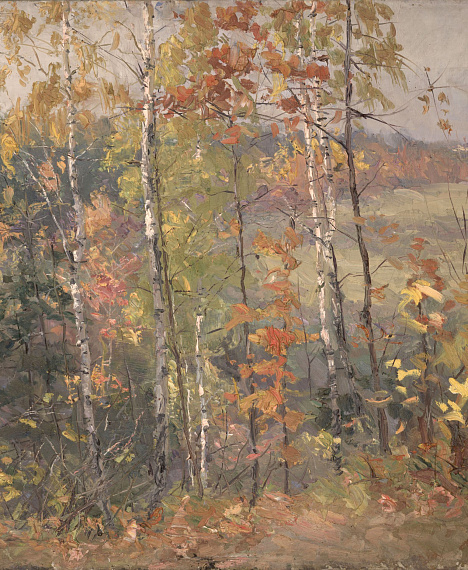 Н.И. Андрияка