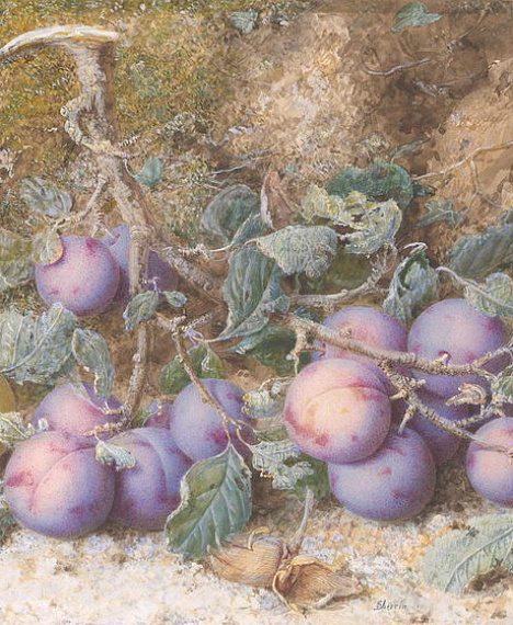 Джон Шеррин (1819- 1896). Натюрморт со сливами, орехами и яблоками на болотном фоне.